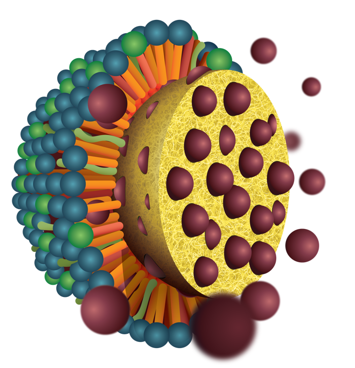 Oftac nano oil-droplet emulsion structure